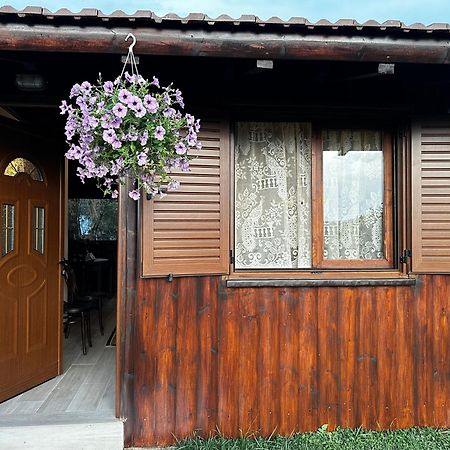 Guest House Gorani Berat Dış mekan fotoğraf