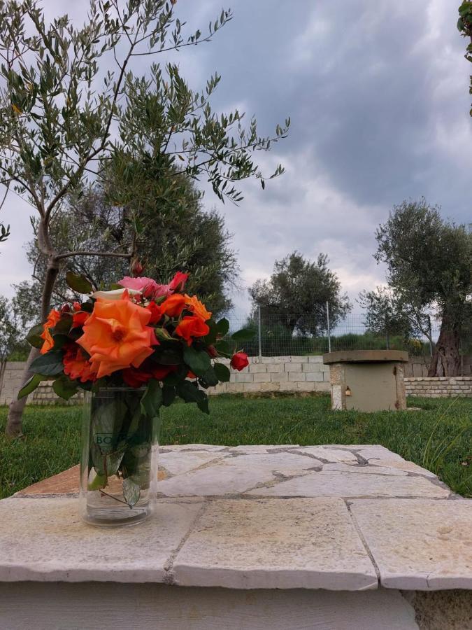 Guest House Gorani Berat Dış mekan fotoğraf