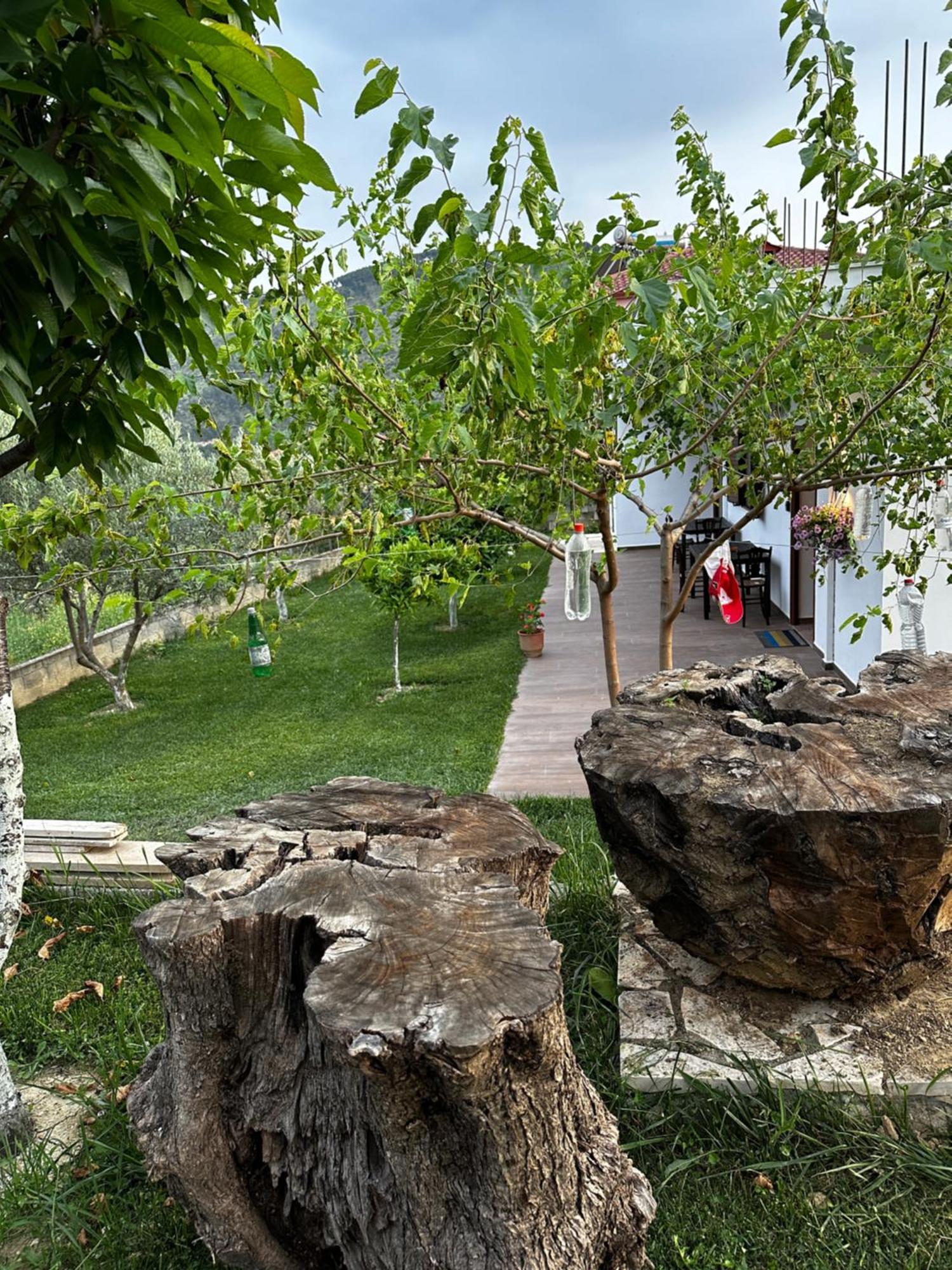 Guest House Gorani Berat Dış mekan fotoğraf